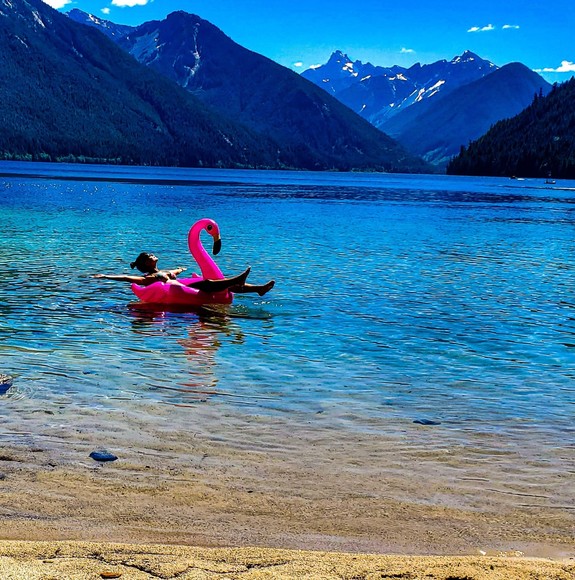 Meet your Posher, Carla - Picture 1 of 1